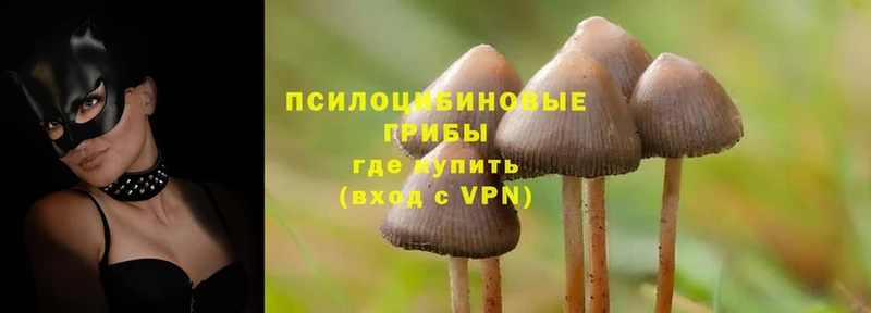 Галлюциногенные грибы MAGIC MUSHROOMS  Ейск 